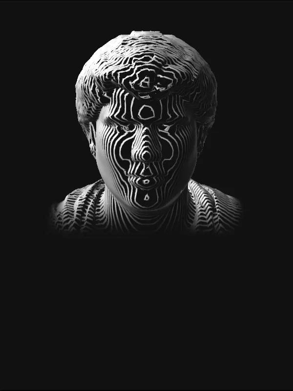 Adam, as a marble bust drawn in contour lines