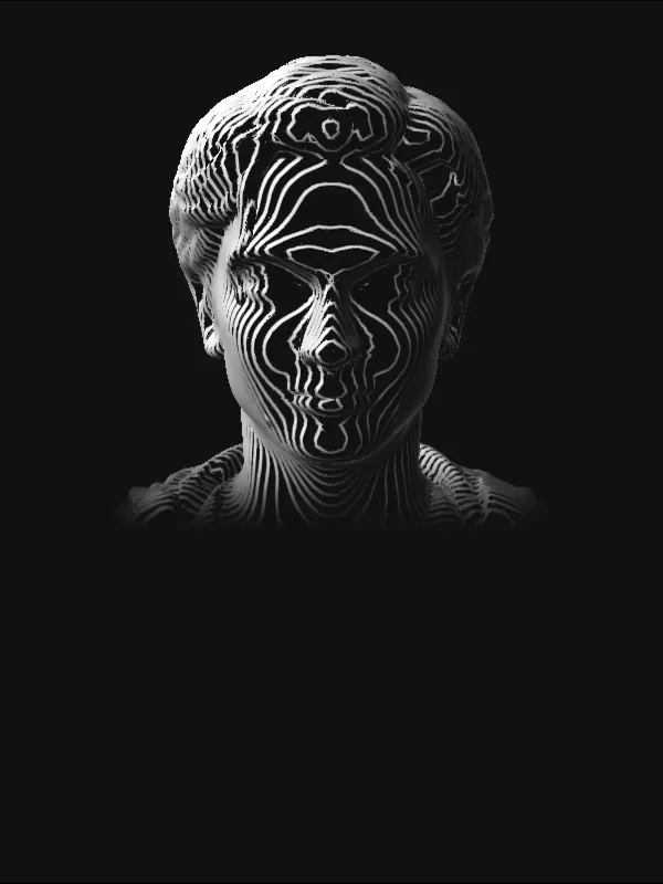 Irfan Noraimi, as a marble bust drawn in contour lines